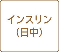 インスリン（日中）