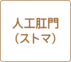 人工肛門（ストマ）