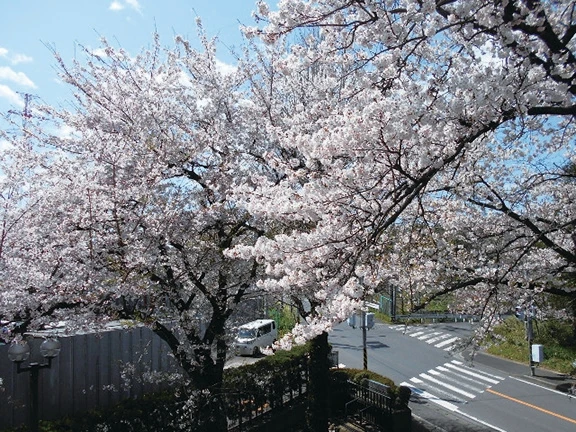 居室内からの景色